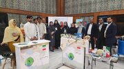 فرآوری جلبک از هرمزگان جزو پنج ایده برتر کشور شد