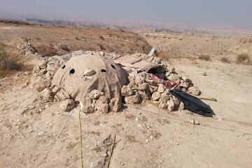 دستگیری شش متخلف زنده گیری پرندگان شکاری در هرمزگان