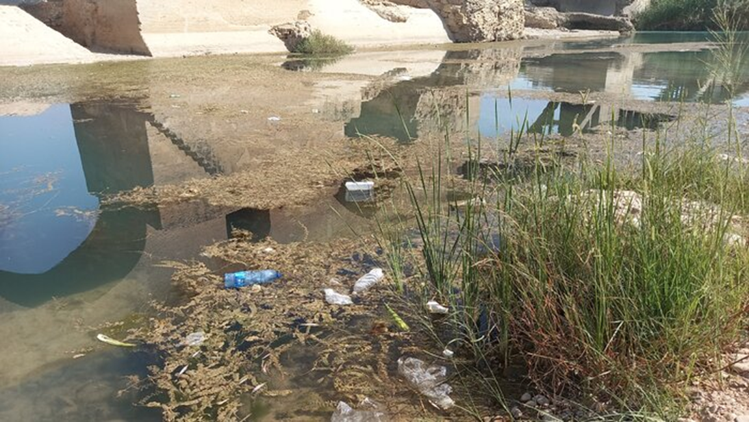 رودخانه دز زیر سیطره جلبکها