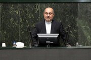 درخواست یک نماینده مجلس از اژه ای درباره پرونده کرسنت/ آقای پزشکیان! آیا شعار انتخاباتی‌ خود را فراموش کردید؟/ وزیران از مسئولیت شانه خالی می کنند