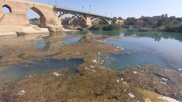 رودخانه دز زیر سیطره جلبکها رودخانه دز زیر سیطره جلبکها