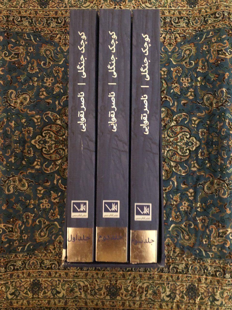 تکبیری که سرنوشت سریال «کوچک جنگلی» را عوض کرد / به بهانه درگذشت ناصر تقوایی 2