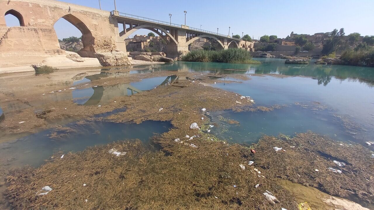 رودخانه دز زیر سیطره جلبکها