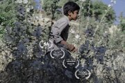 سیب قرمز ایرانی در لهستان، اسپانیا، آفریقای جنوبی و آلمان/ «سوور» در چهار جشنواره جهانی فیلم 