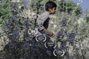 سیب قرمز ایرانی در لهستان، اسپانیا، آفریقای جنوبی و آلمان / «سوور» در چهار جشنواره جهانی فیلم