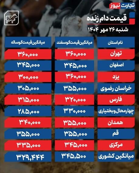 قیمت دام زنده امروز 26 مهر 1404 / ارزانترین دام در این استان فروخته میشود 2