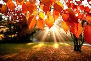 پیش‌بینی نگران‌کننده از وضعیت آب و هوا در پاییز و زمستان امسال