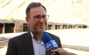 تولید سالانه ۷۵ هزار تن انار در باغات استان لرستان