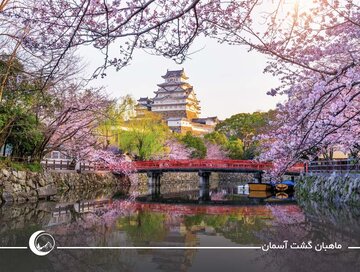 تور ژاپن لوکس یا اقتصادی؟ کدام انتخاب برای شما مناسب‌تر است؟