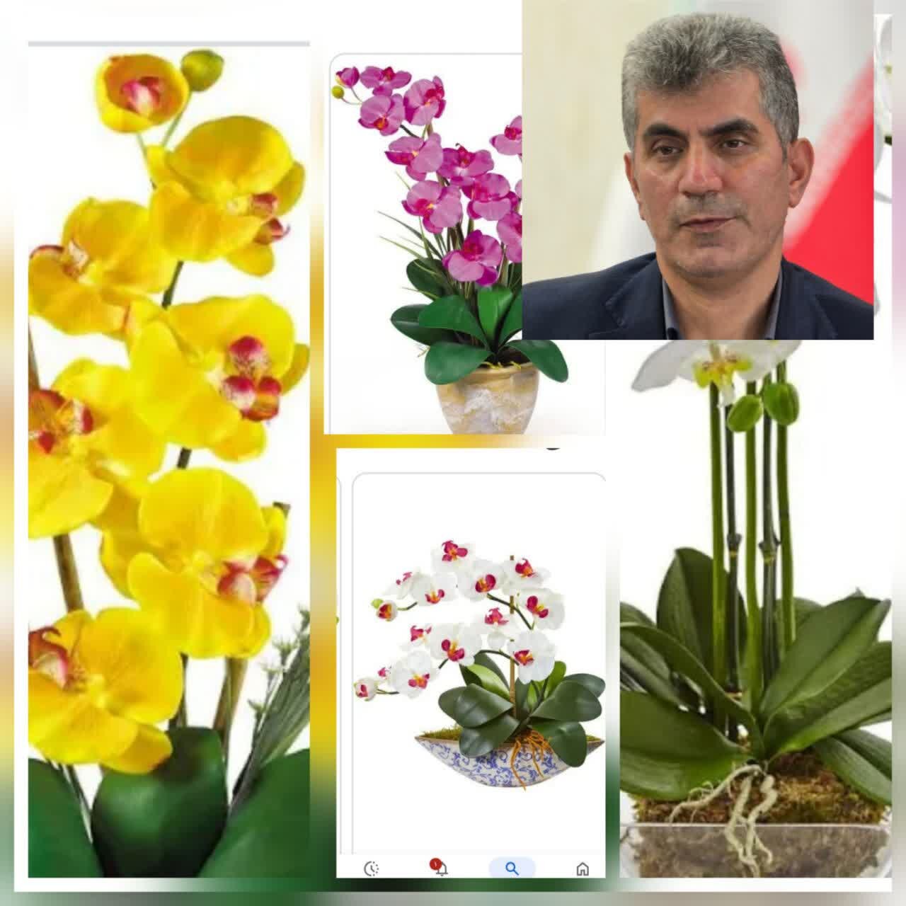 ی