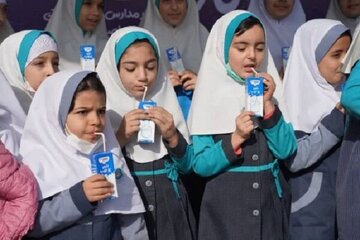 چالش توزیع شیر رایگان در مدارس