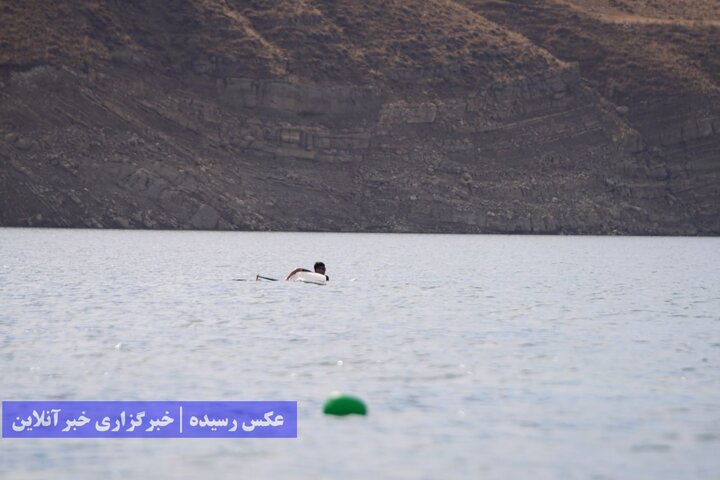 روئینگ
