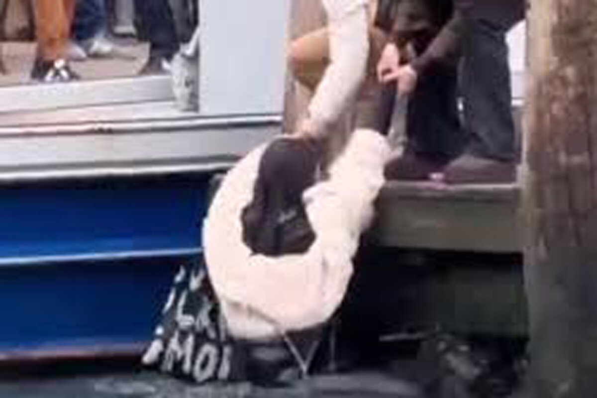 ببینید | پرتاب کردن یک دزد به داخل کانال آب!