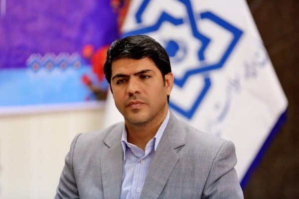 نیاز 500 تنی صنعت دارو؛ کشت خشخاش یا واردات؟/ از زمان شاه، ایران مجوز بینالمللی کشت خشخاش داشت 2