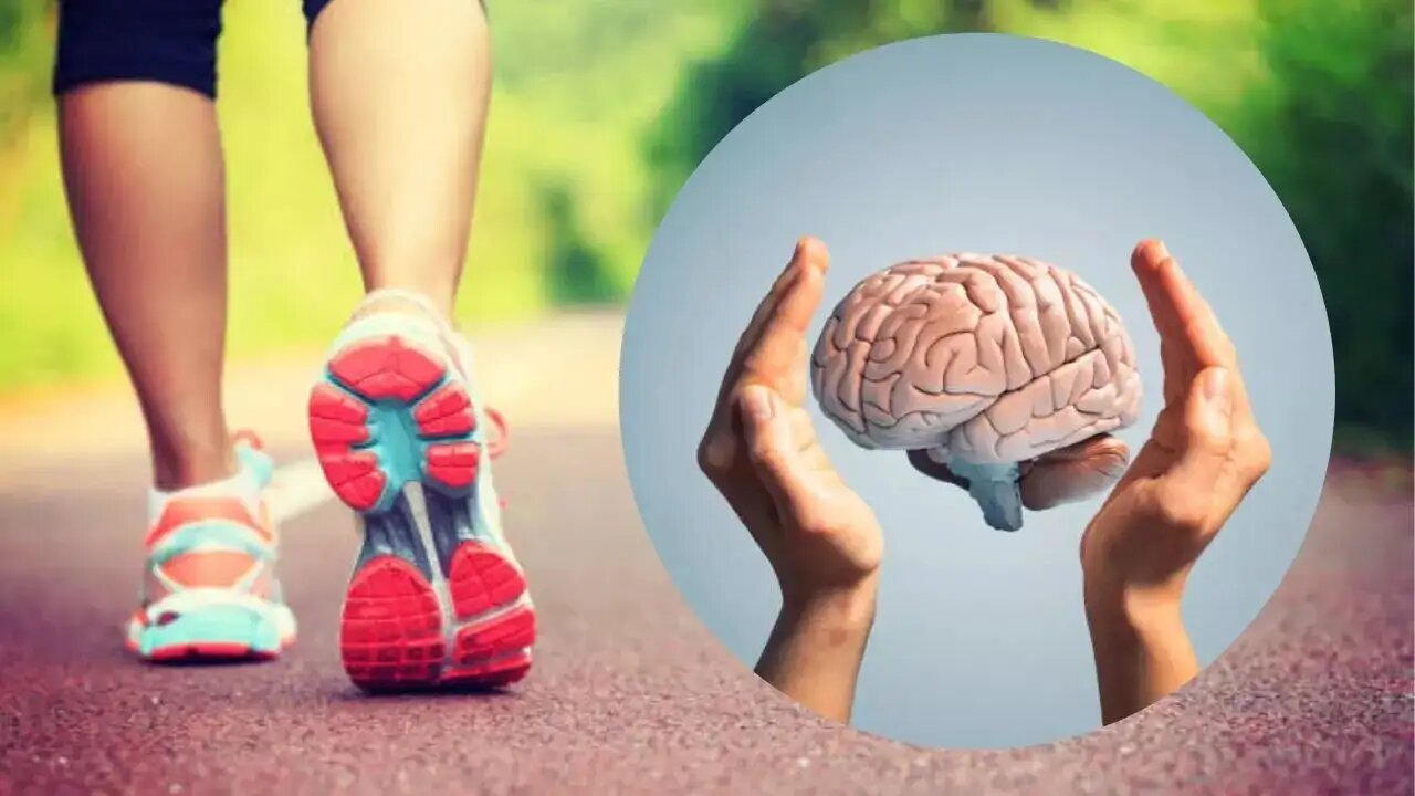 سادهترین قدم برای تقویت مغز و حافظه / پادزهری طبیعی برای پیشگیری از پیری و آلزایمر 3