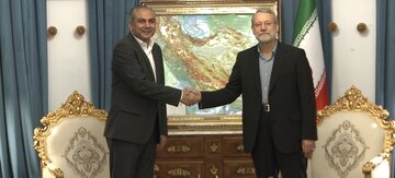 دیدار لاریجانی با وزیر کشور پاکستان با محورهای امنیتی / موضوع نشست چه بود؟