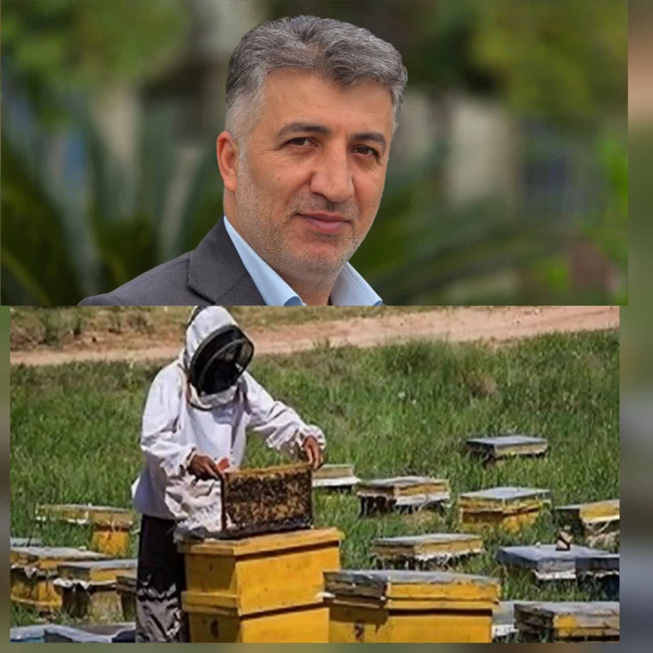 رئیس جهاد کشاورزی لنگرود رئیس جهاد کشاورزی لنگرود