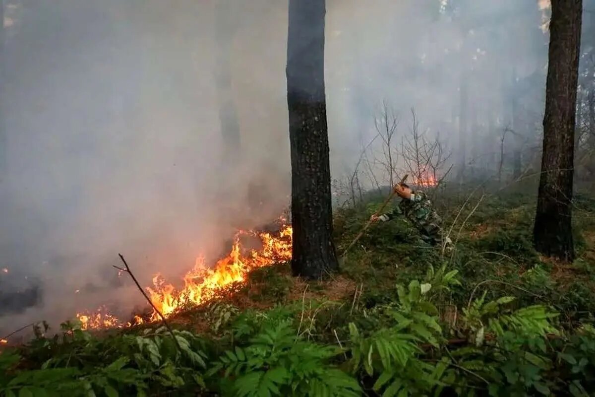 آتشسوزی در مناطق جنگلی چالوس رخ داد. آتشسوزی در مناطق جنگلی چالوس رخ داد.