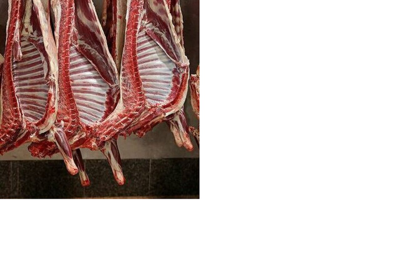 قیمت گوشت گوسفند به حدی افزایش یافته است که نرخ خورشتی آن از ۱.۵ میلیون تومان فراتر رفته است. قیمت گوشت گوسفند به حدی افزایش یافته است که نرخ خورشتی آن از ۱.۵ میلیون تومان فراتر رفته است.