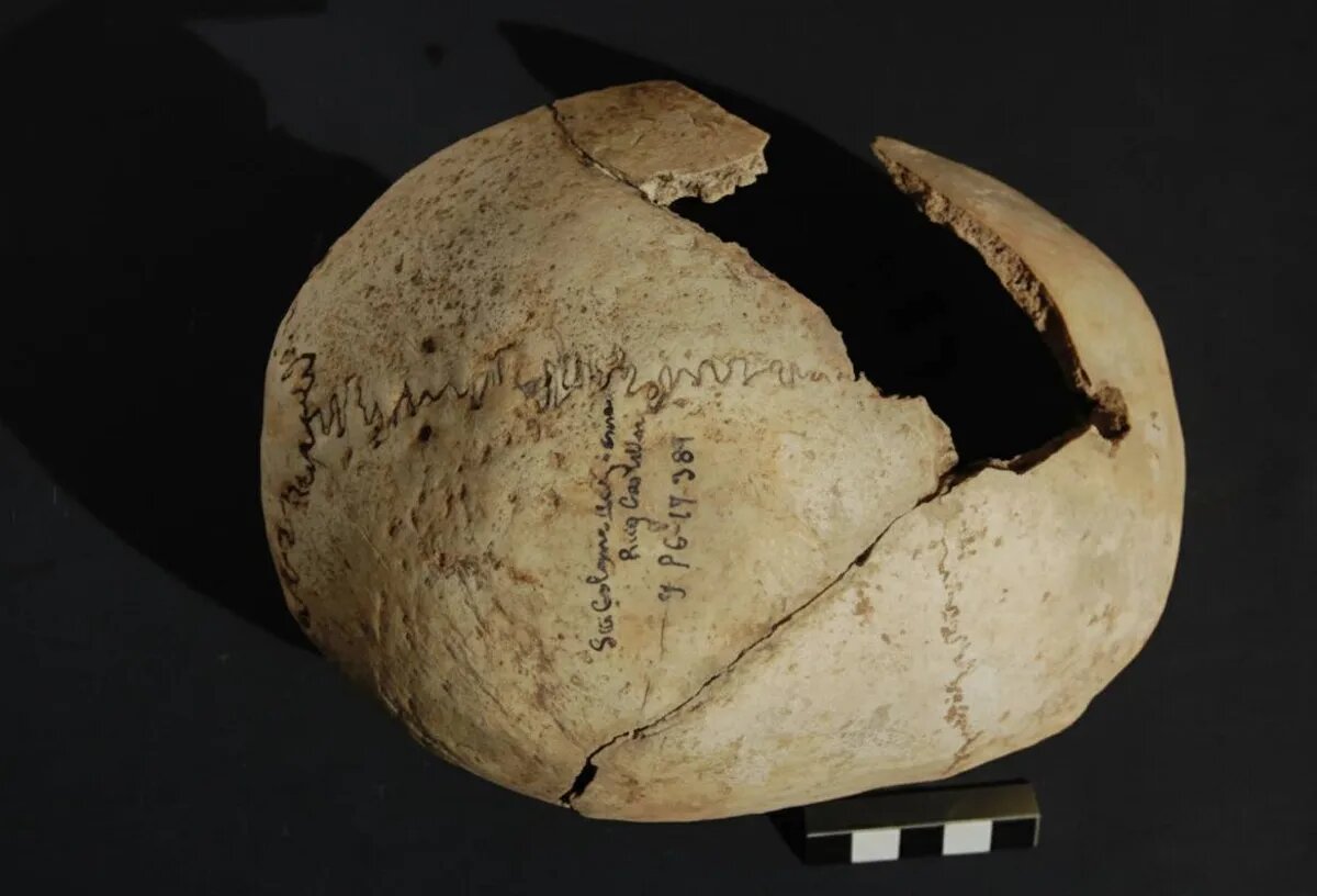 حل معمای جمجمههای میخکوبشده در اسپانیا