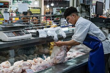 زنگ خطر در بازار؛ مرغ کیلویی 250 هزار می‌شود؟