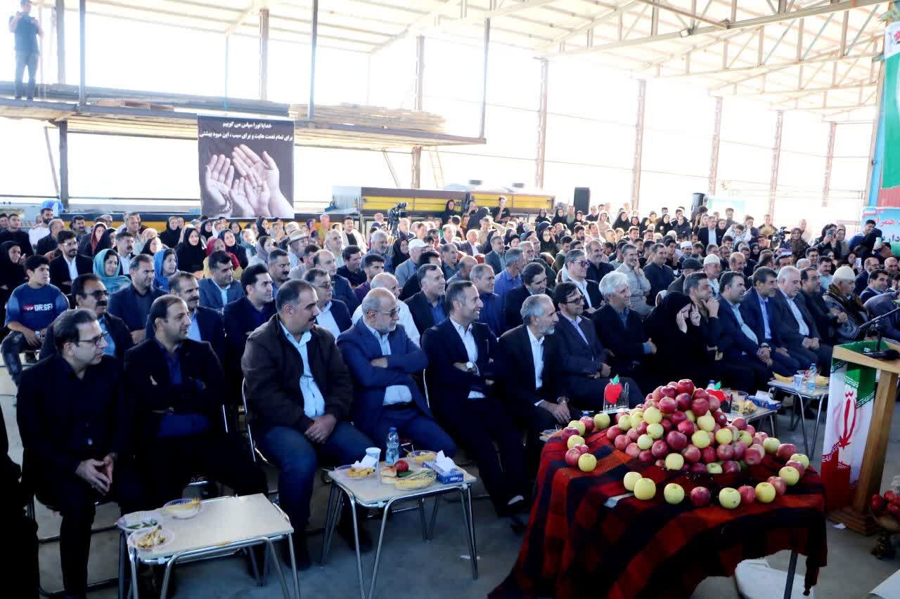 صادرات سالانه ۳ هزار تن سیب از لرستان به کشورهای آسیایی