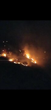 فاجعه زیست‌محیطی در اندیکا؛ بلوط‌های هزارساله طعمه حریق شدند