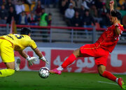 گل محمدی طلسم‌شکنی کرد