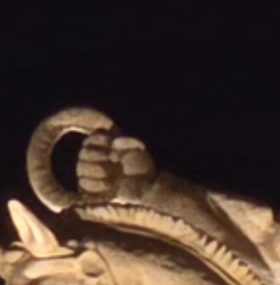 تندیس میدان انقلاب، دور از واقعیت/ مشاور تاریخی کنار مجسمهساز بوده؟