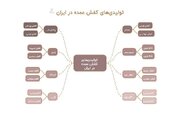 لیست ۲۰ کارخانه تولیدی کفش عمده در ایران و تهران