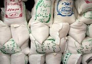 بخشی از برنج شمال وارد بازار نشد/ قیمت تمام شده برنج طارم ایرانی ۱۴۵ هزار تومان است