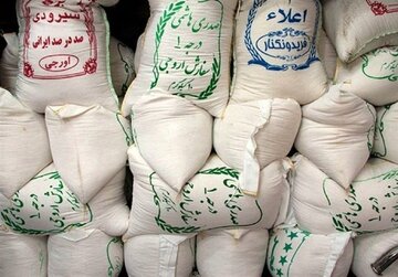 بخشی از برنج شمال وارد بازار نشد / قیمت تمام شده برنج طارم ایرانی 145 هزار تومان است