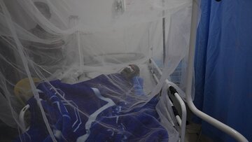 آژیر اپیدمی تب‌دنگی