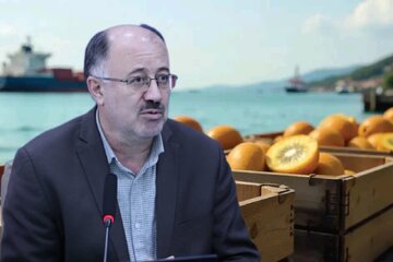 صادرات حدود ۲۱ هزار تن میوه از مازندران