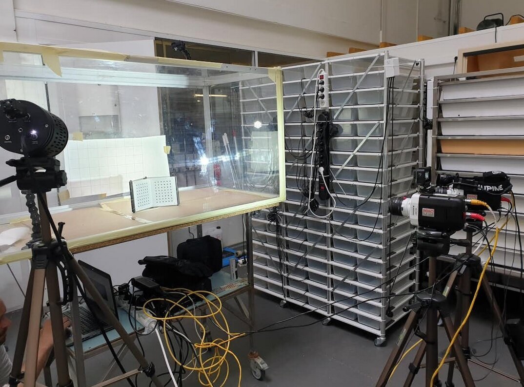 چرا نیش مار کشنده است؟ / ۹۰ میلیثانیه مرگبار