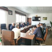 برخورد قاطع با متخلفان صنعت طیور در مازندران