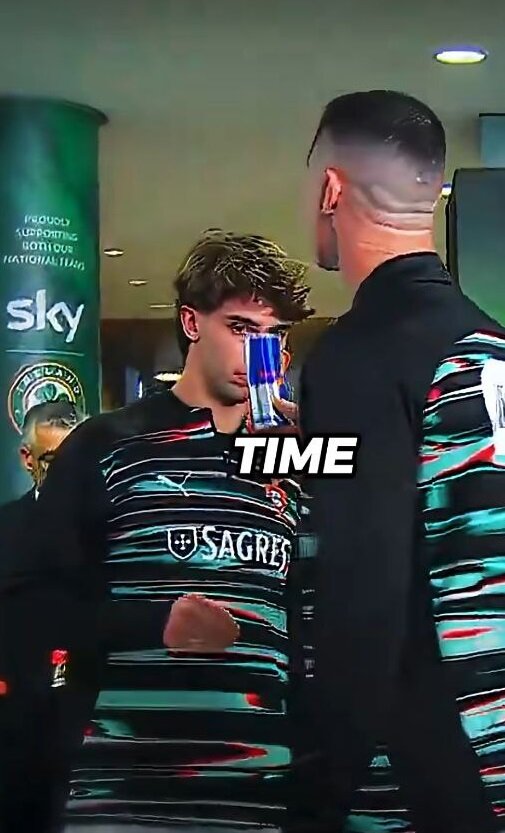 6325962.jpg?ts=1763377693000