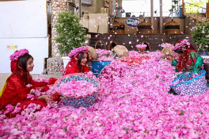 ثبت میراث در یونسکو به معنای «مالکیت» نیست/ ایران، رتبه چهارم جهان در ثبت میراث ناملموس/ پشتپرده ادعای عربستان برای مصادره «گل محمدی» چه بود؟