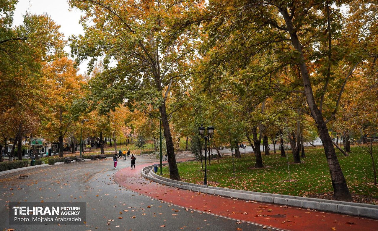 تماشای پاییز در پارک‌های تهران / از لویزان تا پردیسان؛ معرفی 5 بوستان جذاب برای تهرانگردی آخرهفته 4