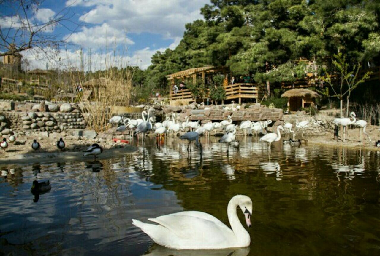 تماشای پاییز در پارک‌های تهران / از لویزان تا پردیسان؛ معرفی 5 بوستان جذاب برای تهرانگردی آخرهفته 3