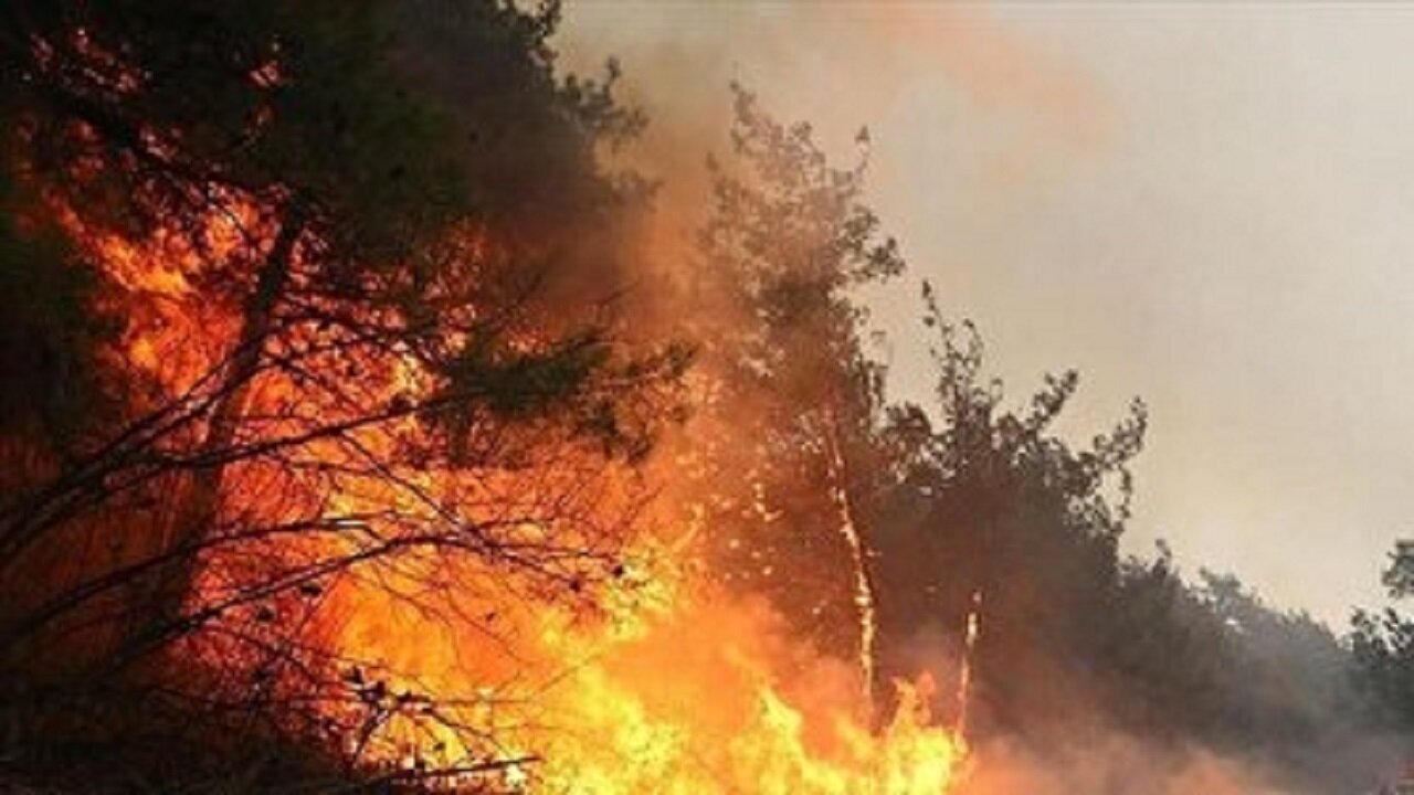 آتش دوباره به جان جنگل‌های کارمزد سوادکوه افتاد