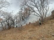 ادامه عملیات مهار آتش‌سوزی گسترده در جنگل‌های الیت چالوس