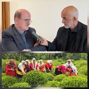 لاهوتی نماینده لنگرود:
هدف از اصلاح قیمت بنزین درآمدزایی نیست | سازمان چای نباید منحل شود