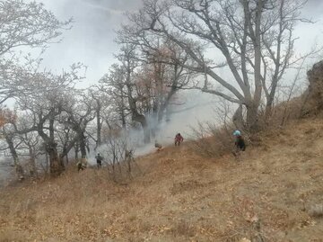 ادامه عملیات مهار آتش‌سوزی گسترده در جنگل‌های الیت چالوس