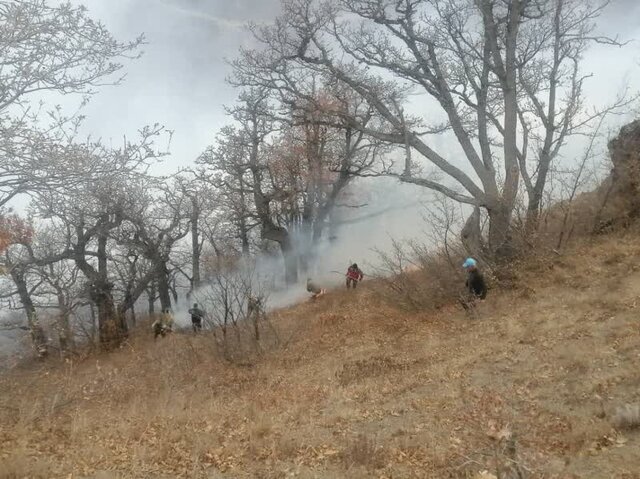 ادامه عملیات مهار آتش‌سوزی گسترده در جنگل‌های الیت چالوس