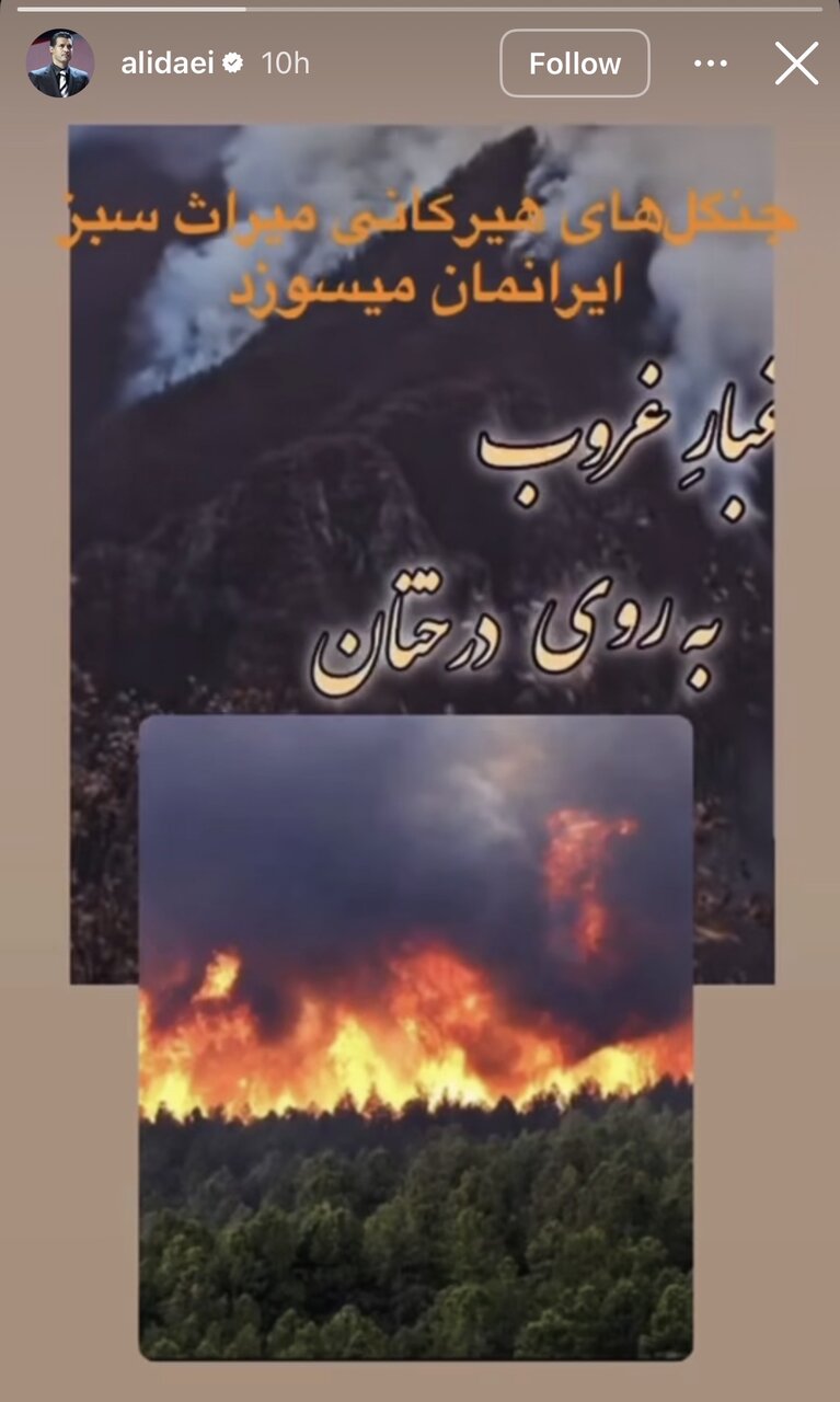 عکس | واکنش تلخ علی دایی به آتش‌سوزی هیرکانی / میراث سبز ایران‌مان می‌سوزد