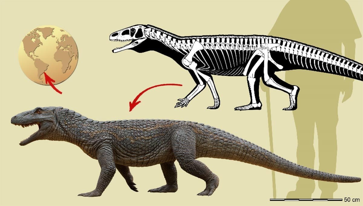 شکار «جنگجوی زره‌پوش»؛ جد مشترک تمساح‌های امروزی