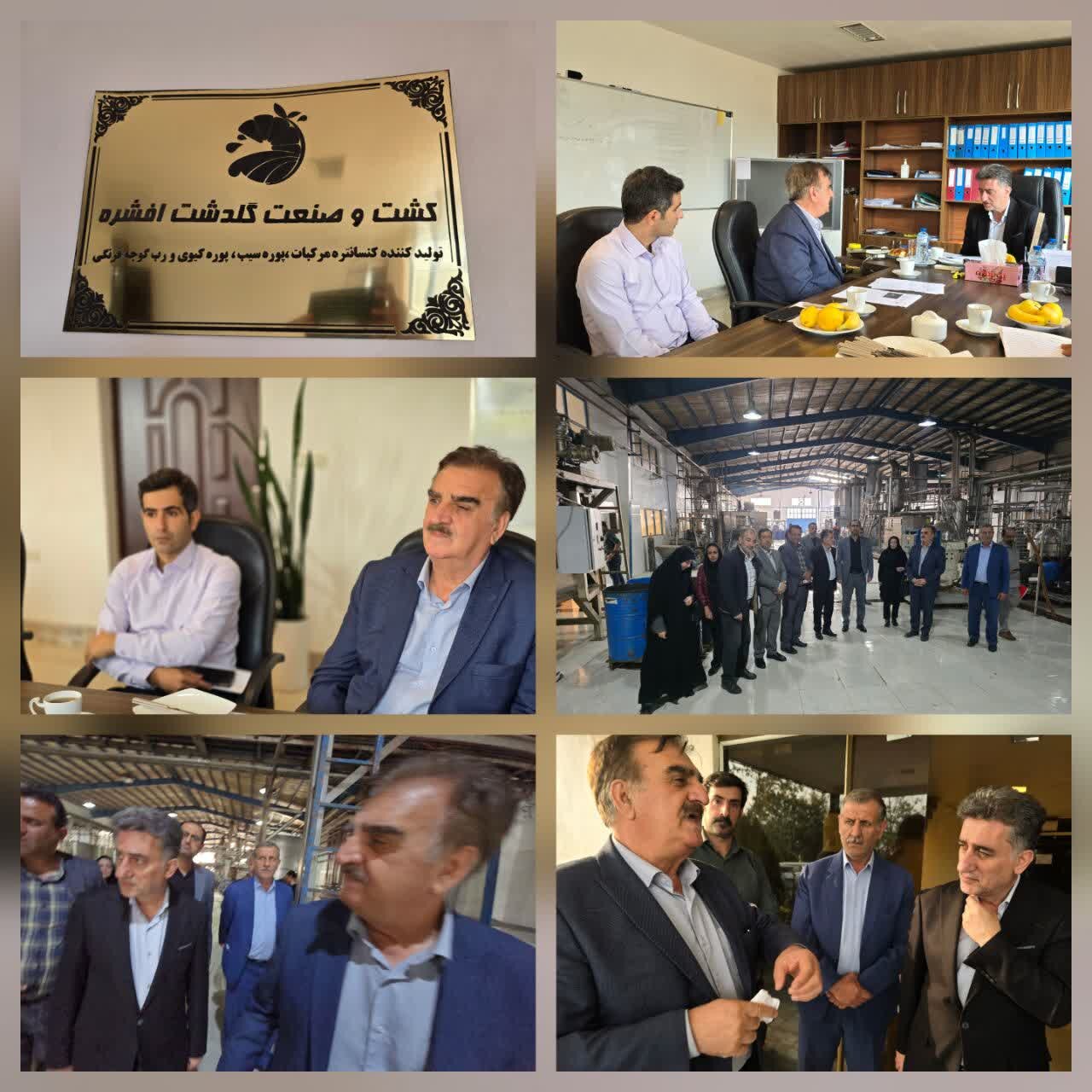 مدیرعامل شرکت کشت و صنعت گلدشت افشره :