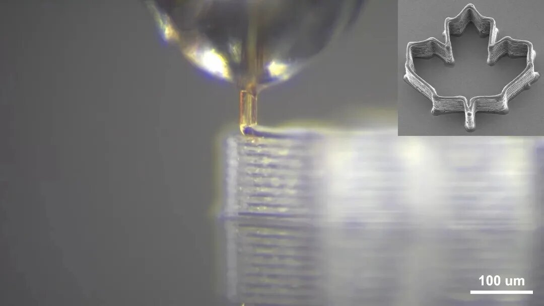 خاصیت شگفتانگیز نیش پشه / انقلابی در پرینت سهبعدی