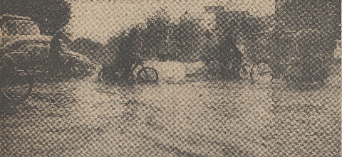 خاطرات علم: بالاخره دیشب باران بارید، صبح گل از گل شاهنشاه شکفته بود